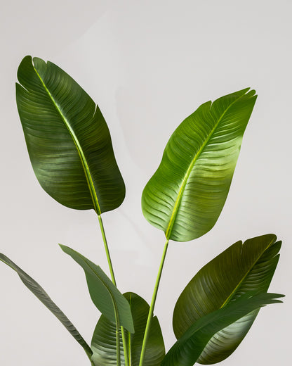 Faux Bird of Paradise Plant 160CM
