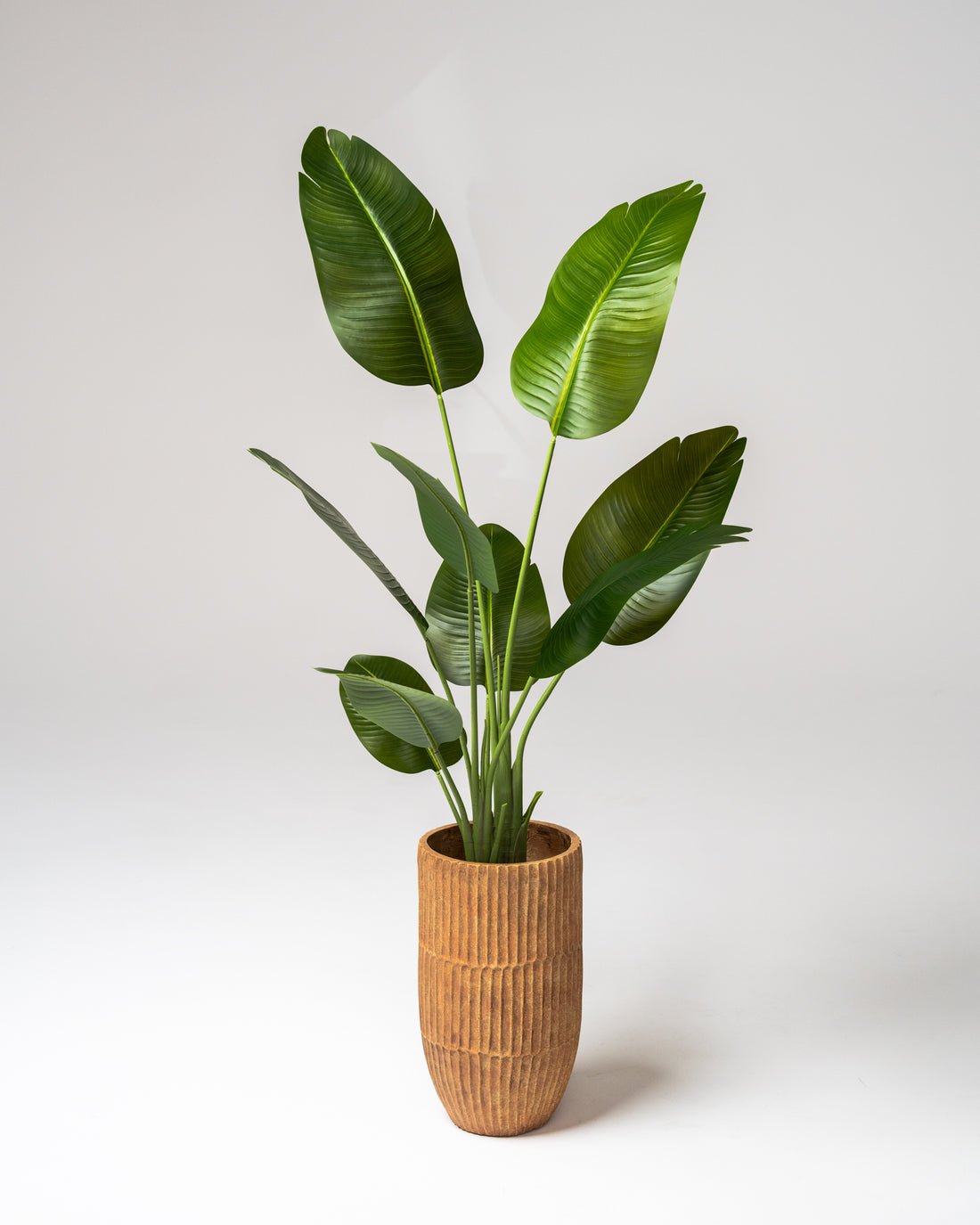 Faux Bird of Paradise Plant 180CM