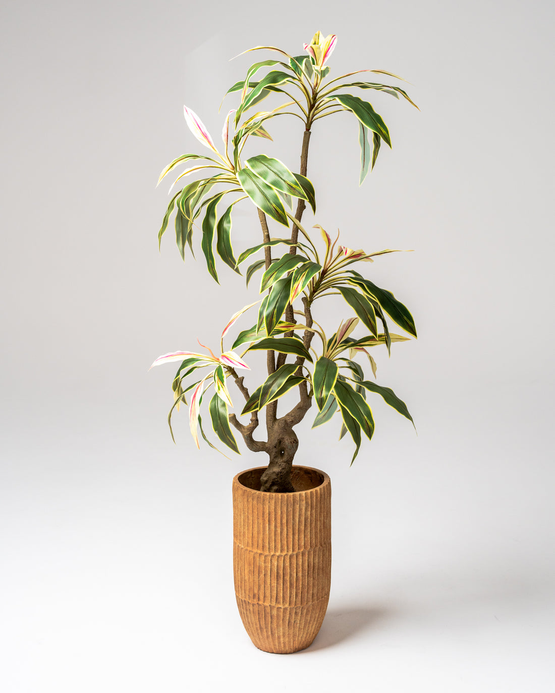 Faux Brazilian Iron Wood Plant 180CM