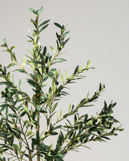 Faux Lush &amp; Luxe Olive Tree 170CM