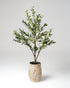 Faux Lush & Luxe Olive Tree + Solène Pot Bundle