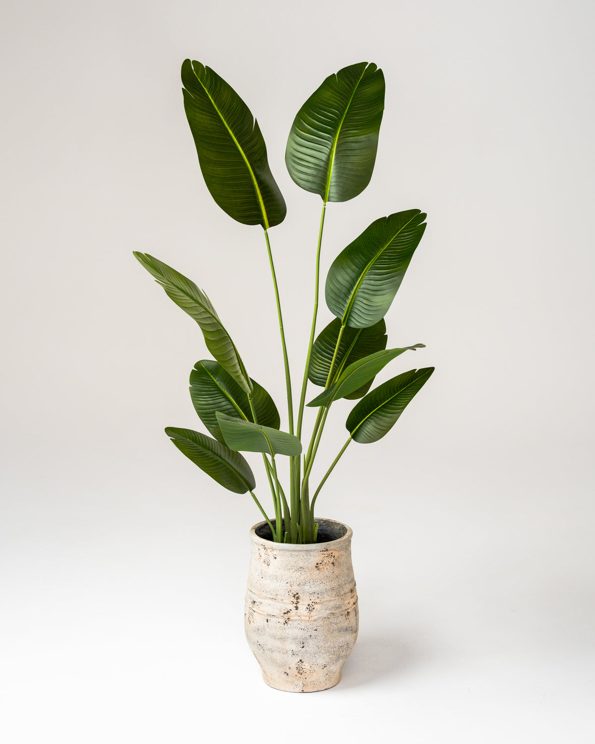 Solène Tall Pot - Rustic