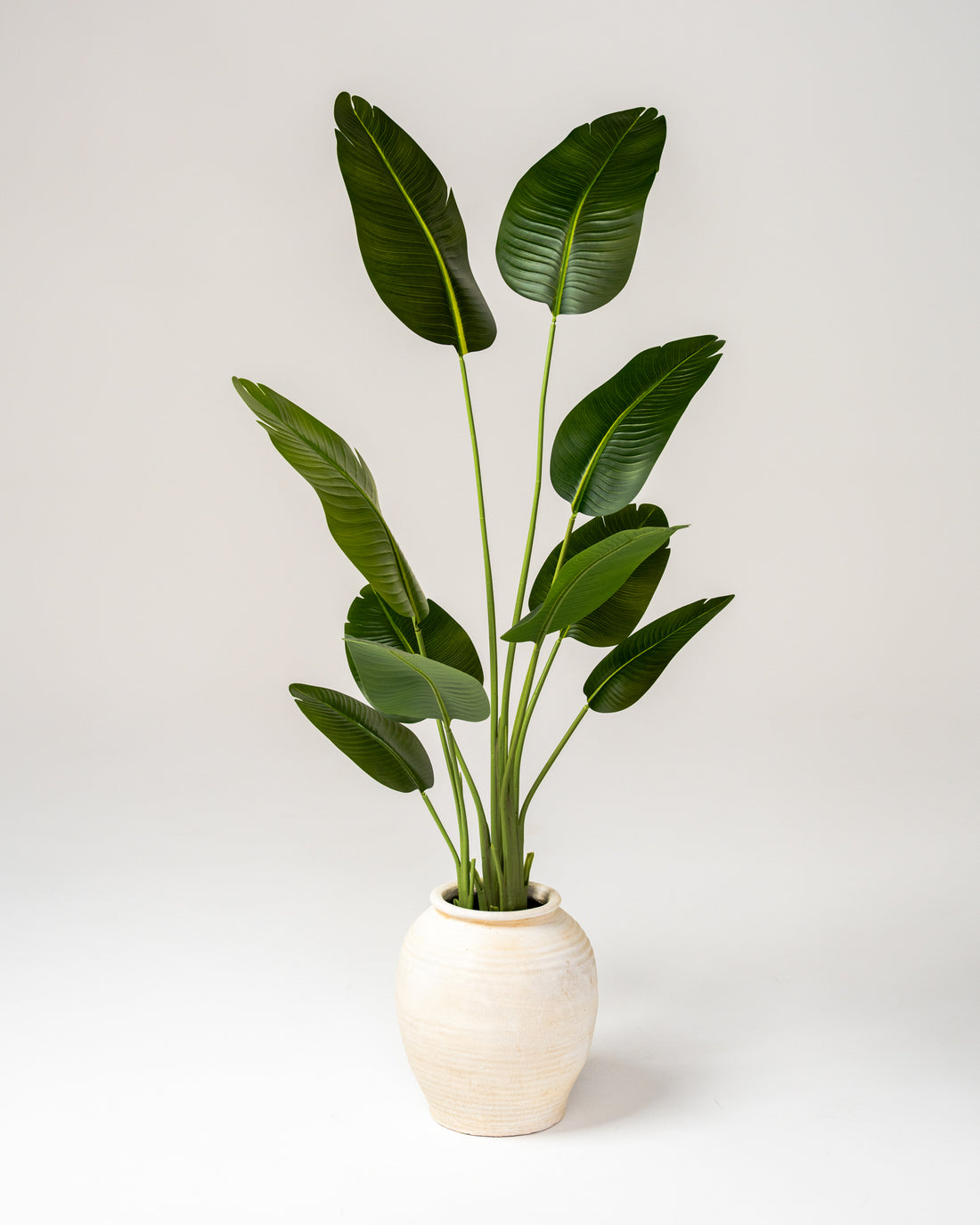 Faux Bird of Paradise Plant 180CM