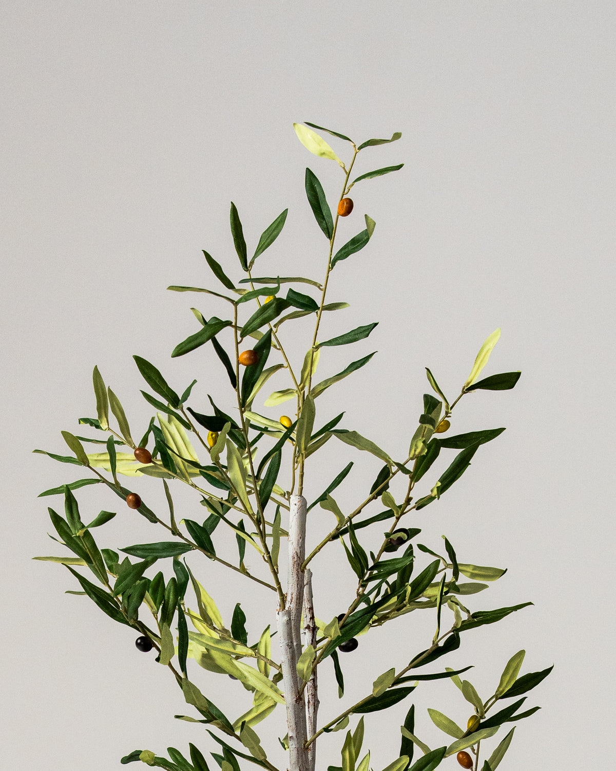 Faux Slim Olive Tree with Real Wood Trunk 180CM