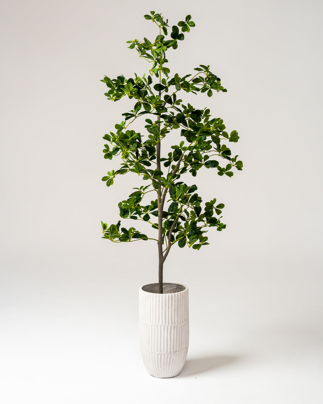 Faux Lifelike Black Olive Tree 180CM