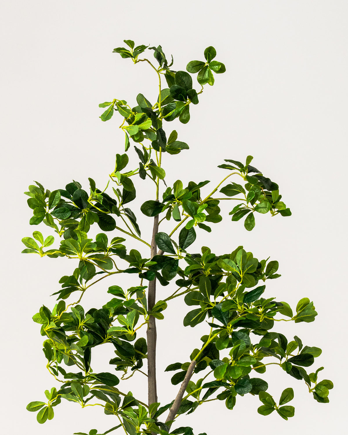 Faux Lifelike Black Olive Tree 180CM