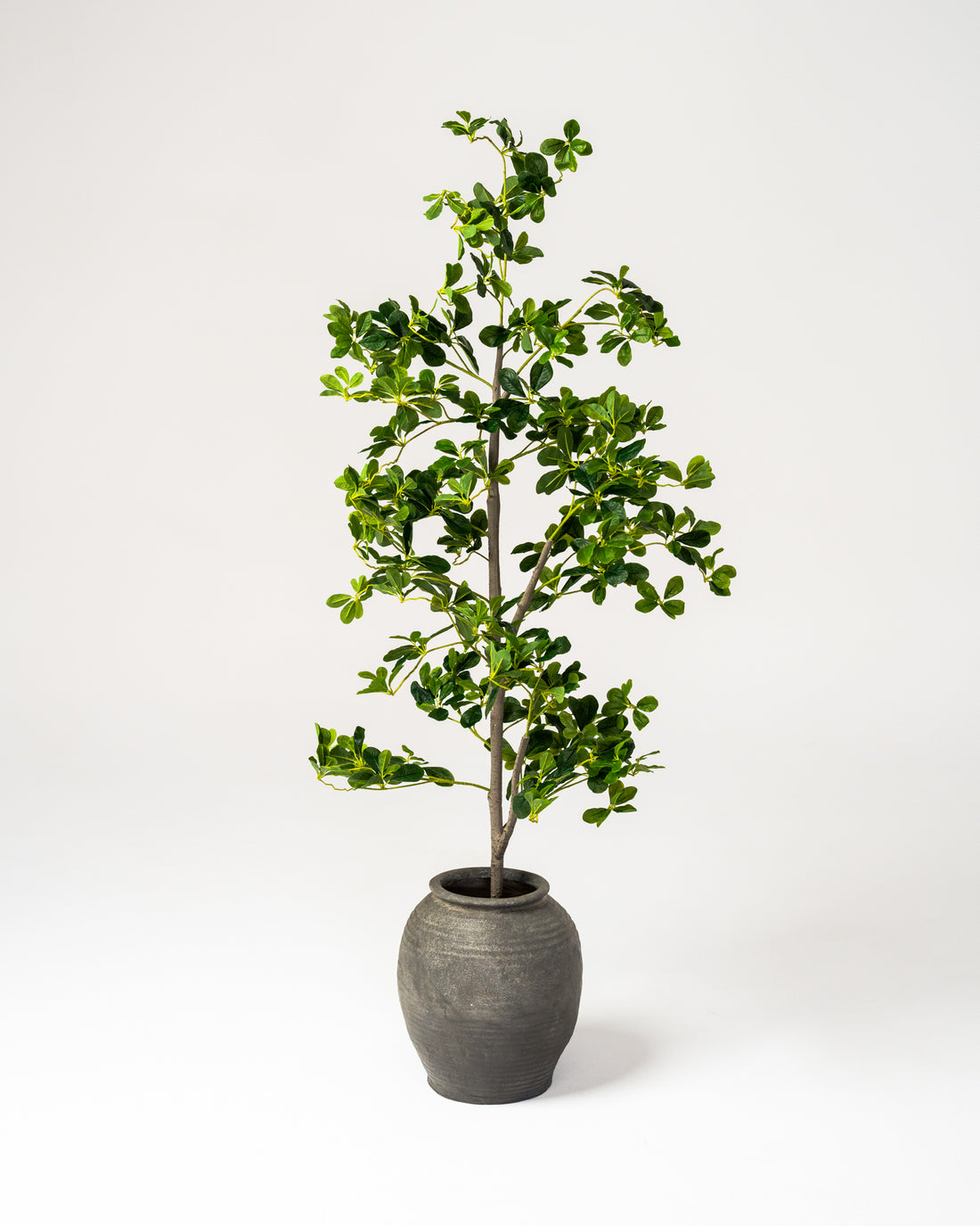 Faux Lifelike Black Olive Tree 180CM