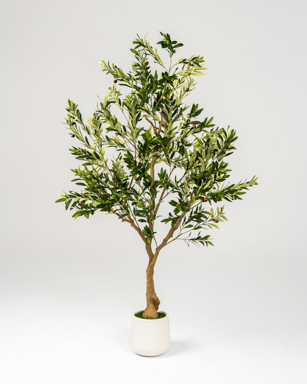 Faux Statement Olive Tree 210CM