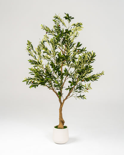 Faux Statement Olive Tree 210CM