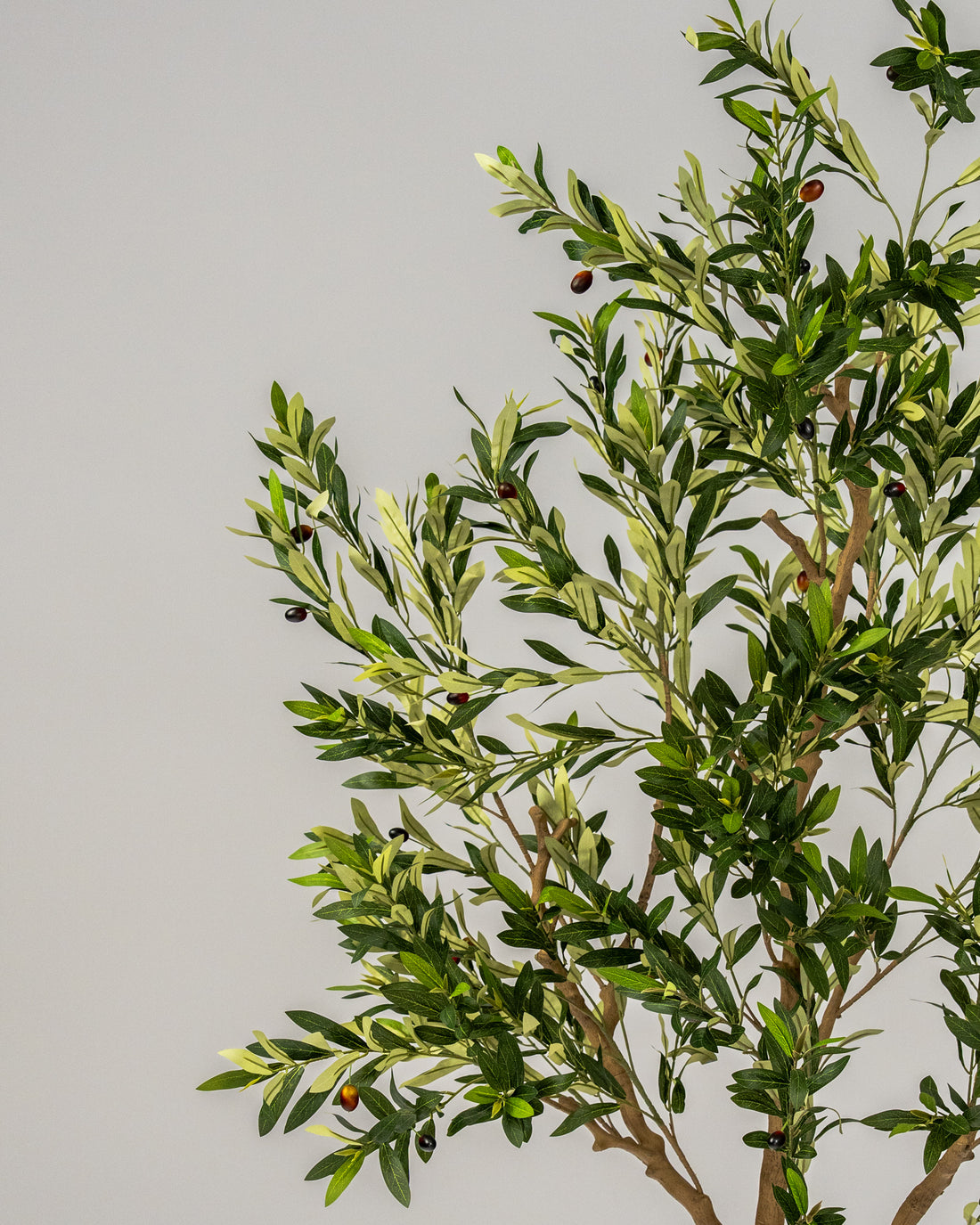 Faux Majestic Olive Tree 2.4M