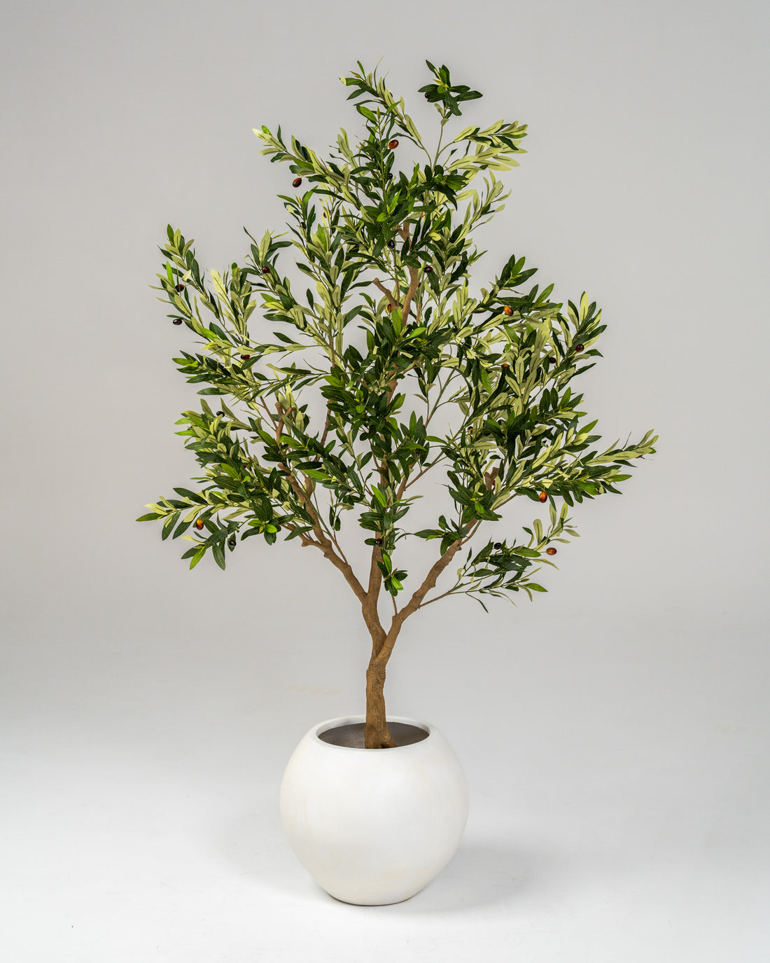 Faux Statement Olive Tree 210CM