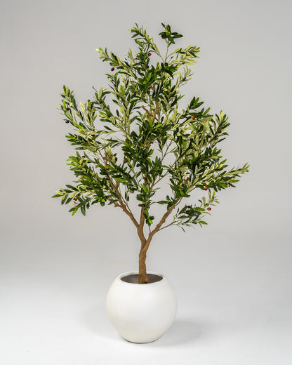 Faux Statement Olive Tree 210cm