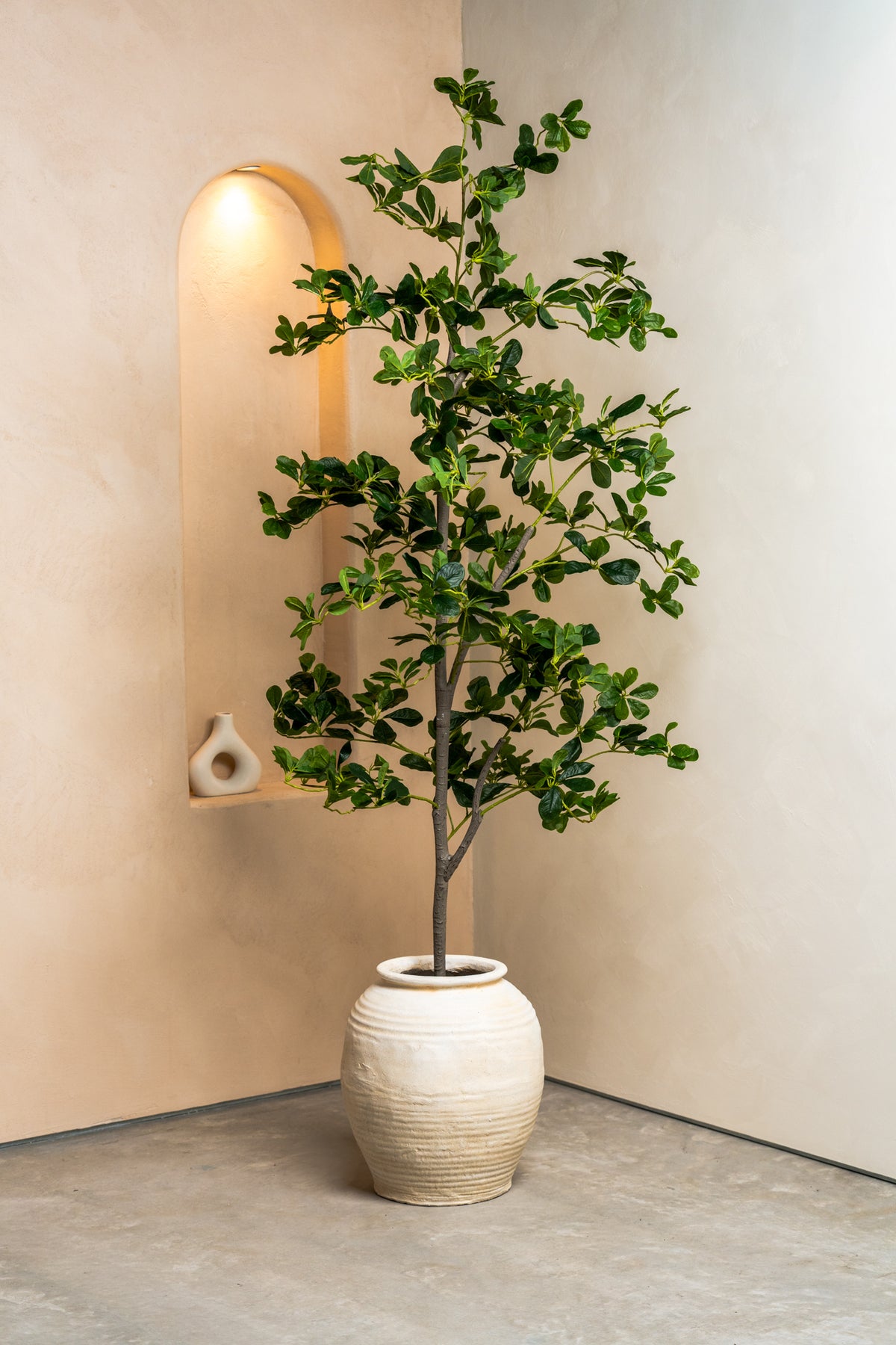 Faux Black Olive Tree + Provence Urn Bundle