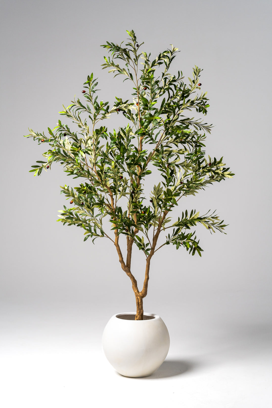 Faux Majestic Olive Tree 2.4M
