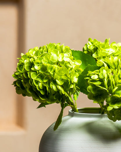 Green Hydrangea - 5 Stems