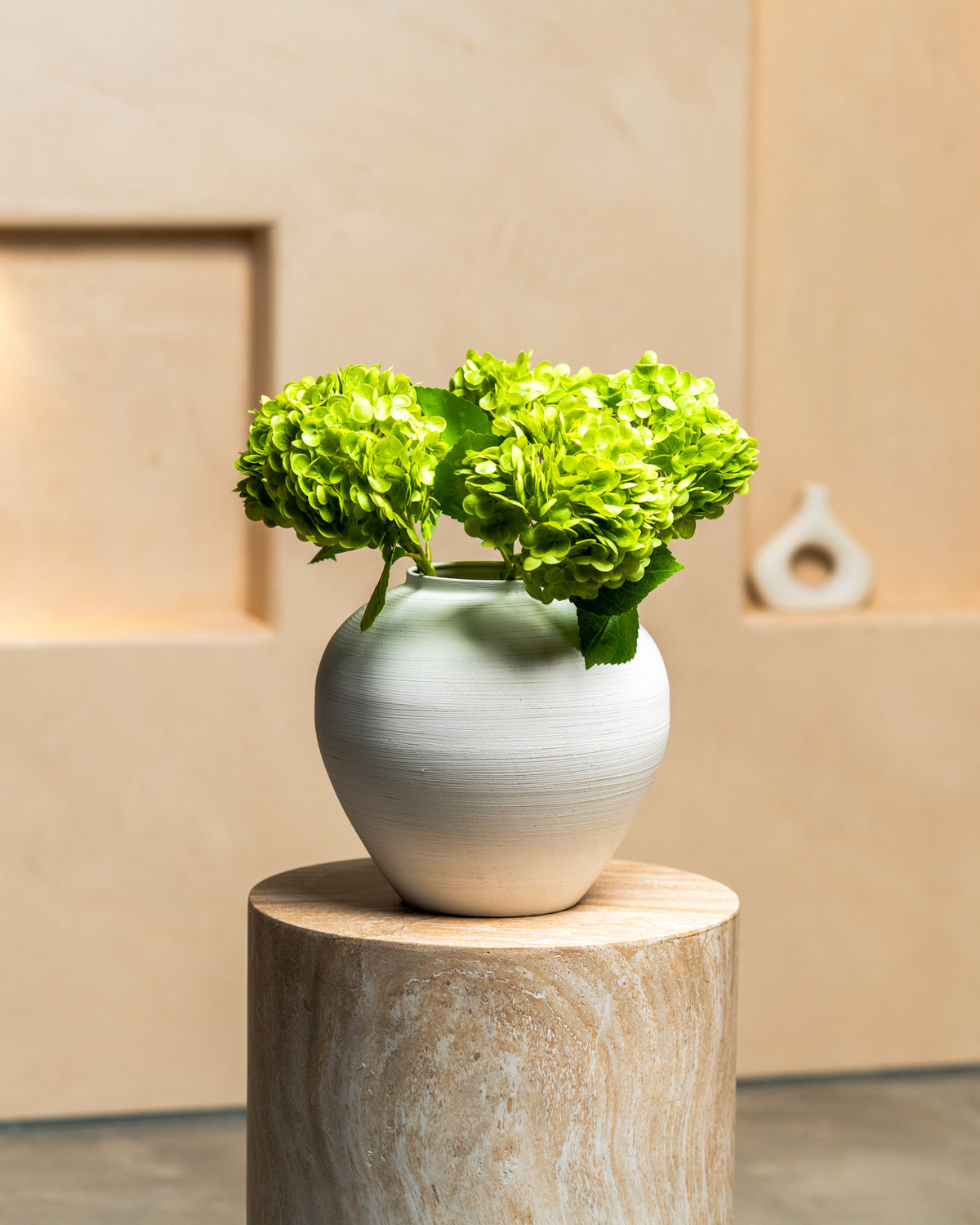 Green Hydrangea - 5 Stems
