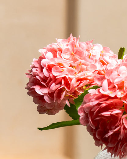 Pink Hydrangea - 5 Stems