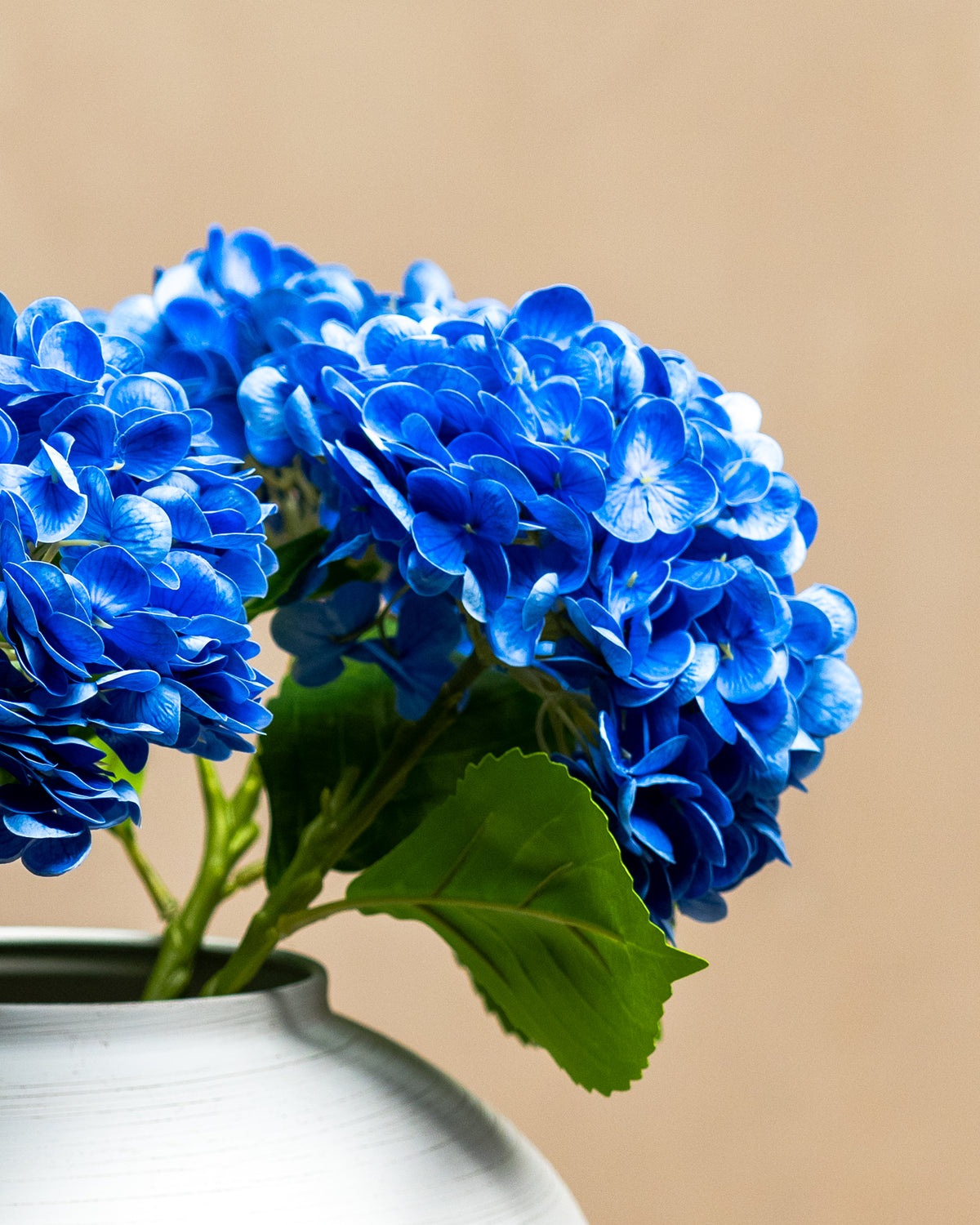 Blue Hydrangea - 5 Stems
