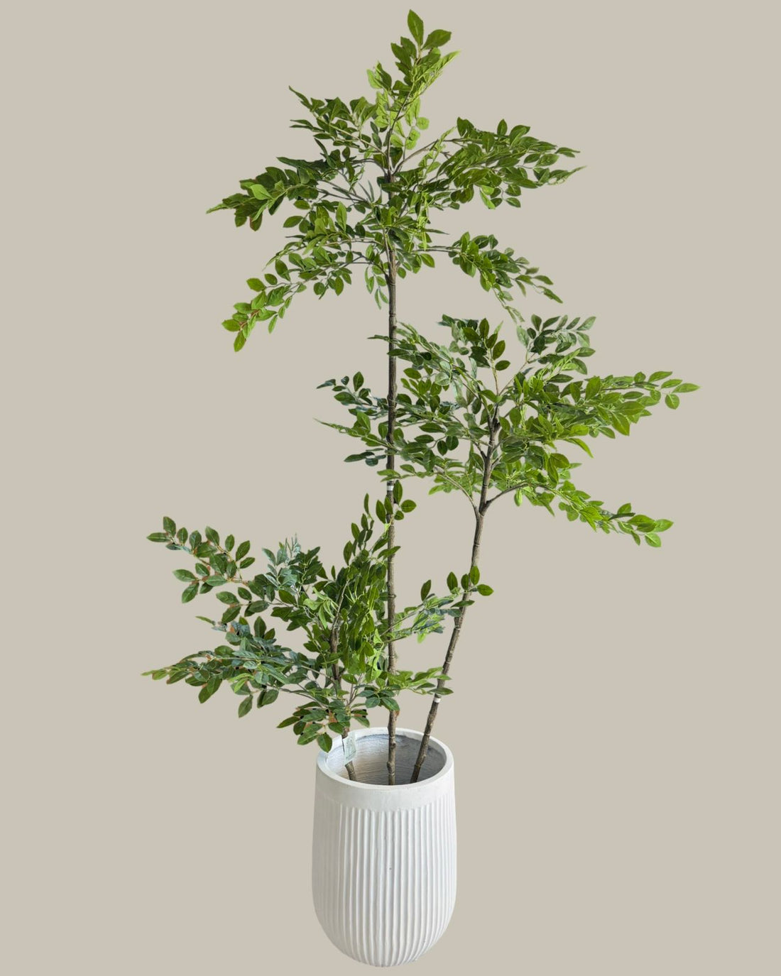 Faux Elm Tree 190CM