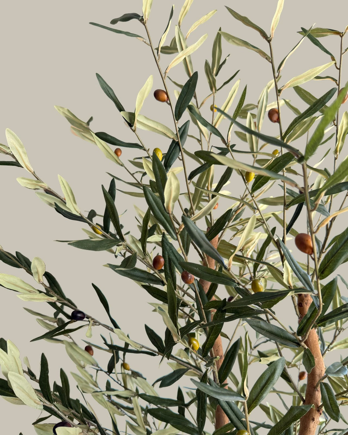 Ultra Realistic Faux Real Wood Olive Tree 180cm
