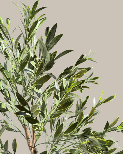 Artificial UV Protected Giant Tall Olive Tree 210CM