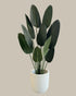 Faux Luxe Potted Birds of Paradise 160CM.