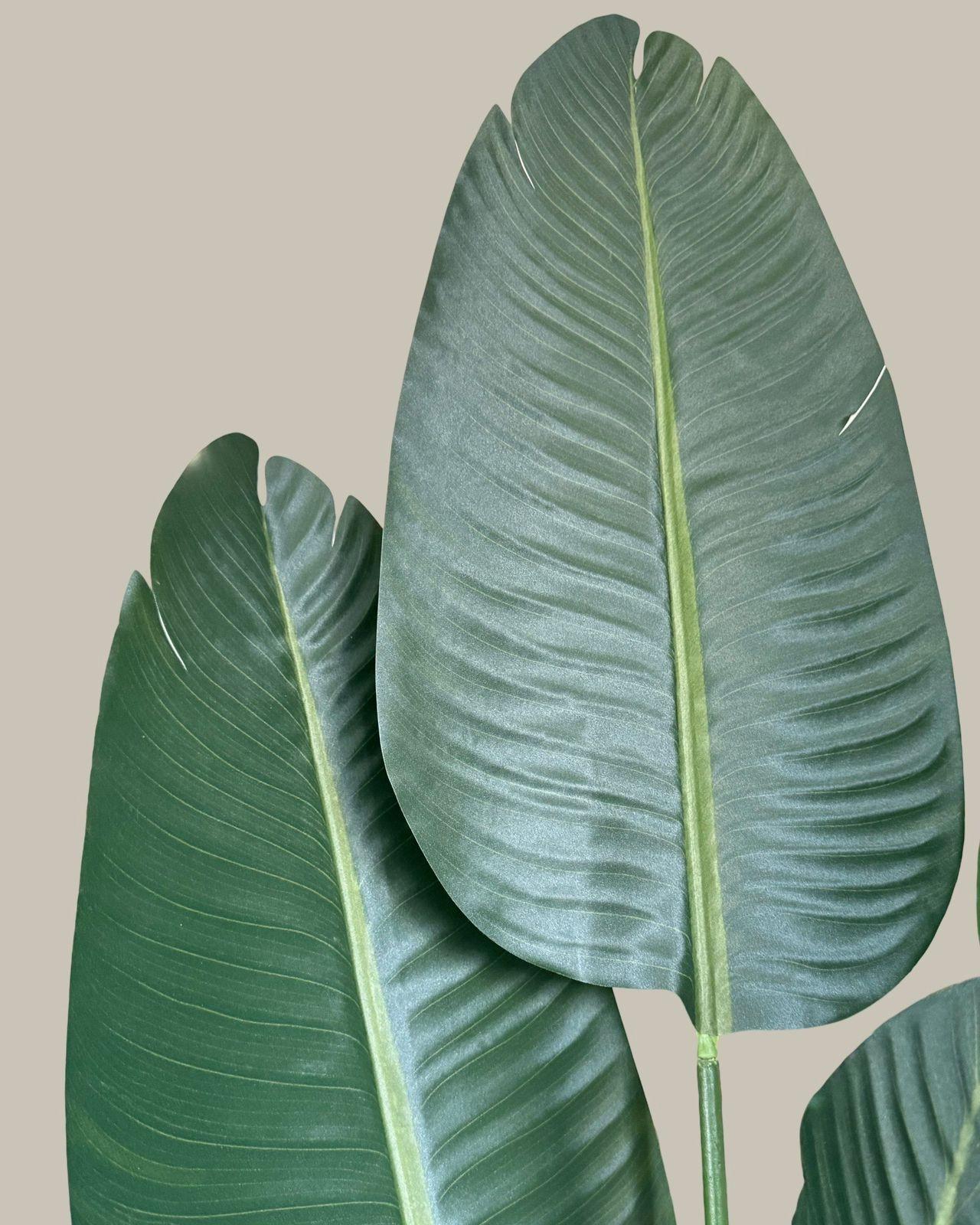 Faux Luxe Potted Birds of Paradise 160CM.
