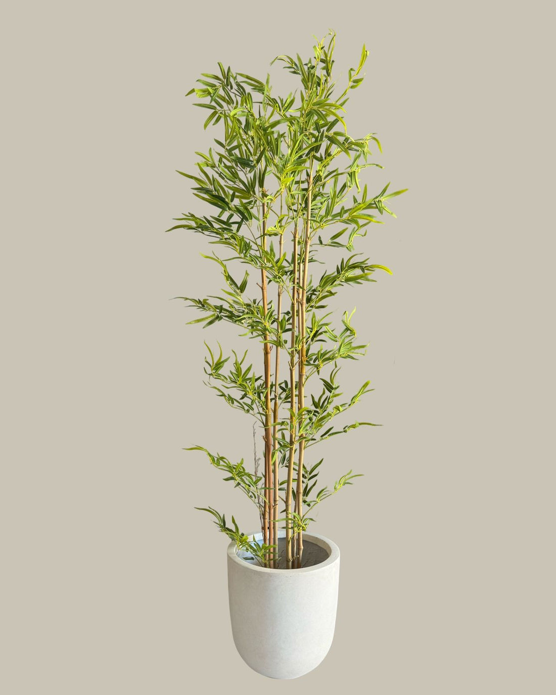 Artificial Bamboo Tree with Real Bamboo Trunk 180CM