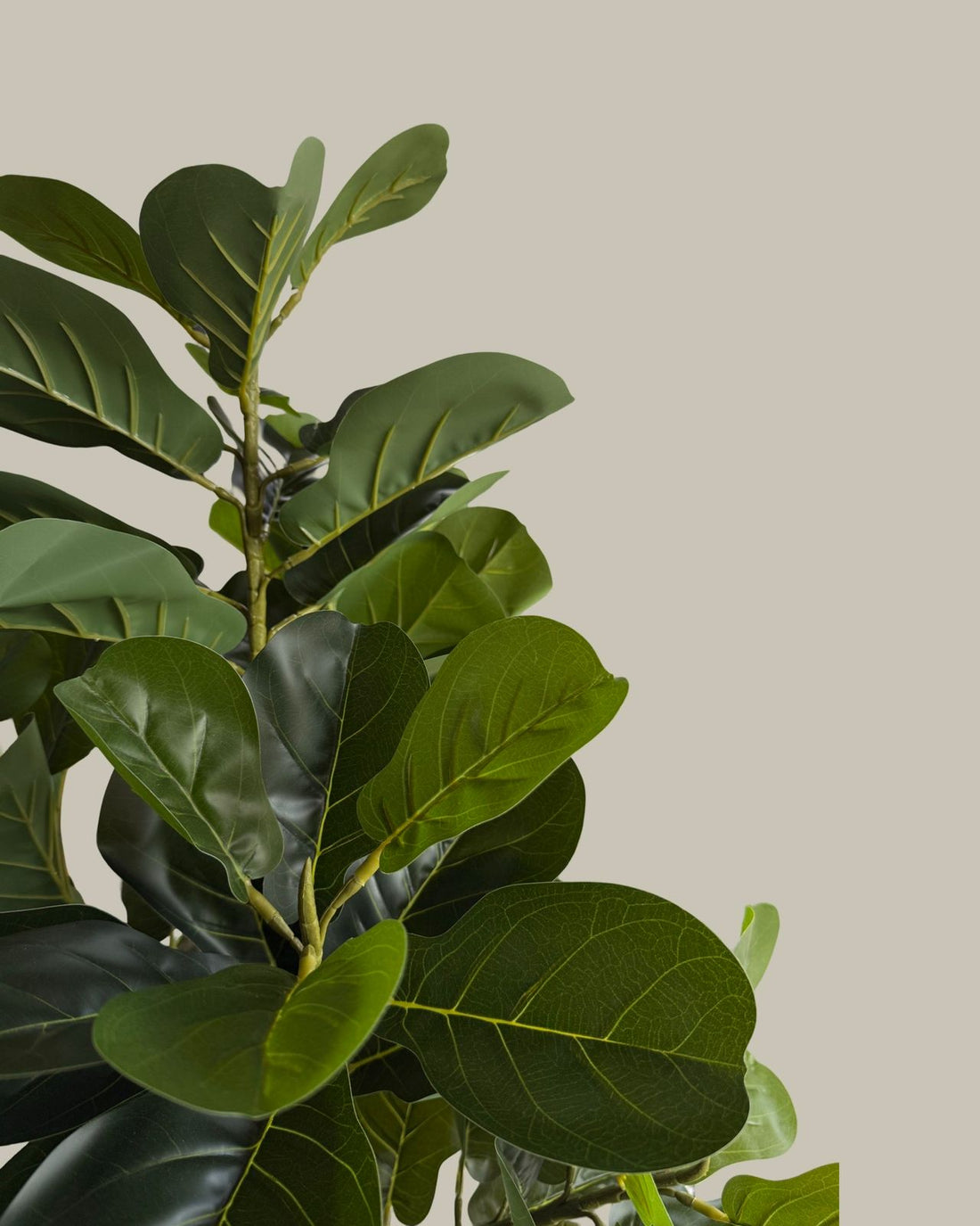 Faux Potted Fiddle Fig Leaf Tree 160CM