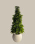 Faux UV-Protected Cypress Tree 150CM