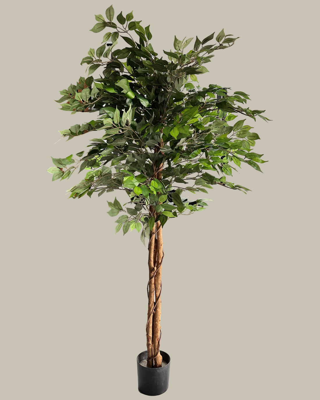 Faux Ficus Tree-The Plants Corner