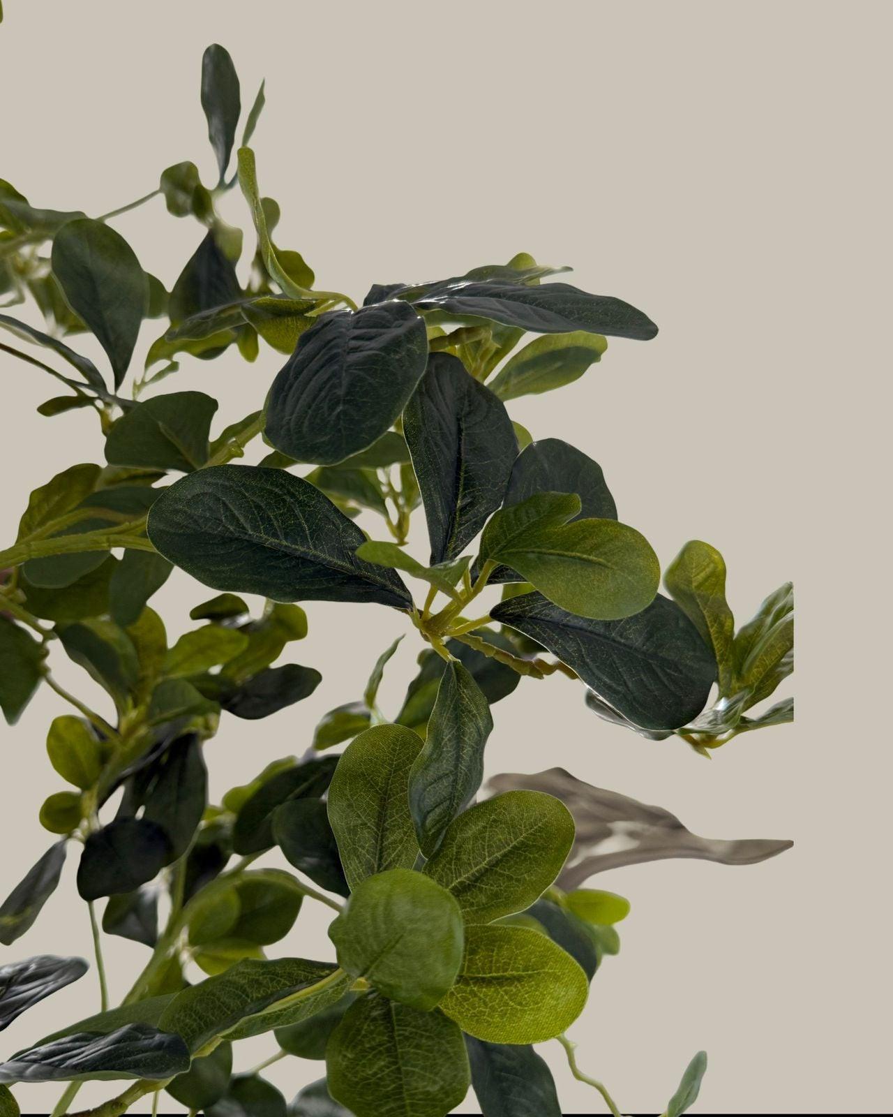 Artificial Lifelike Tall Black Olive Tree 180CM.