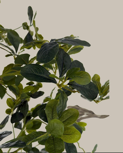 Artificial Lifelike Tall Black Olive Tree 180CM.