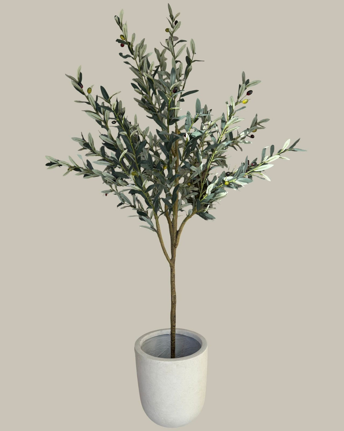 Premium Faux Olive Tree 180CM