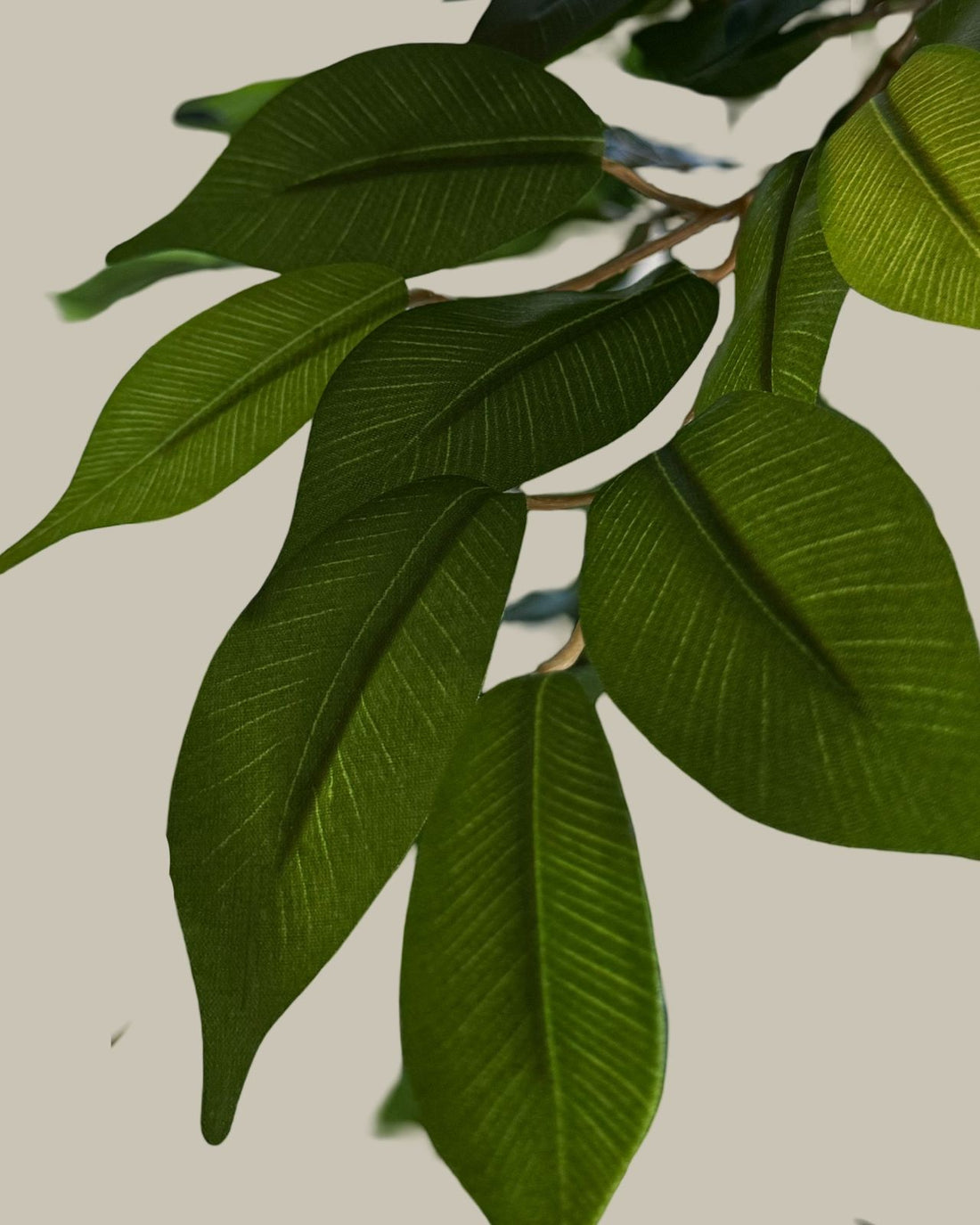 Faux Potted Ficus Tree 160CM