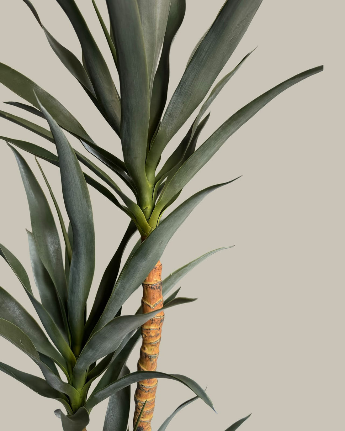 Faux Yucca Tree 150cm