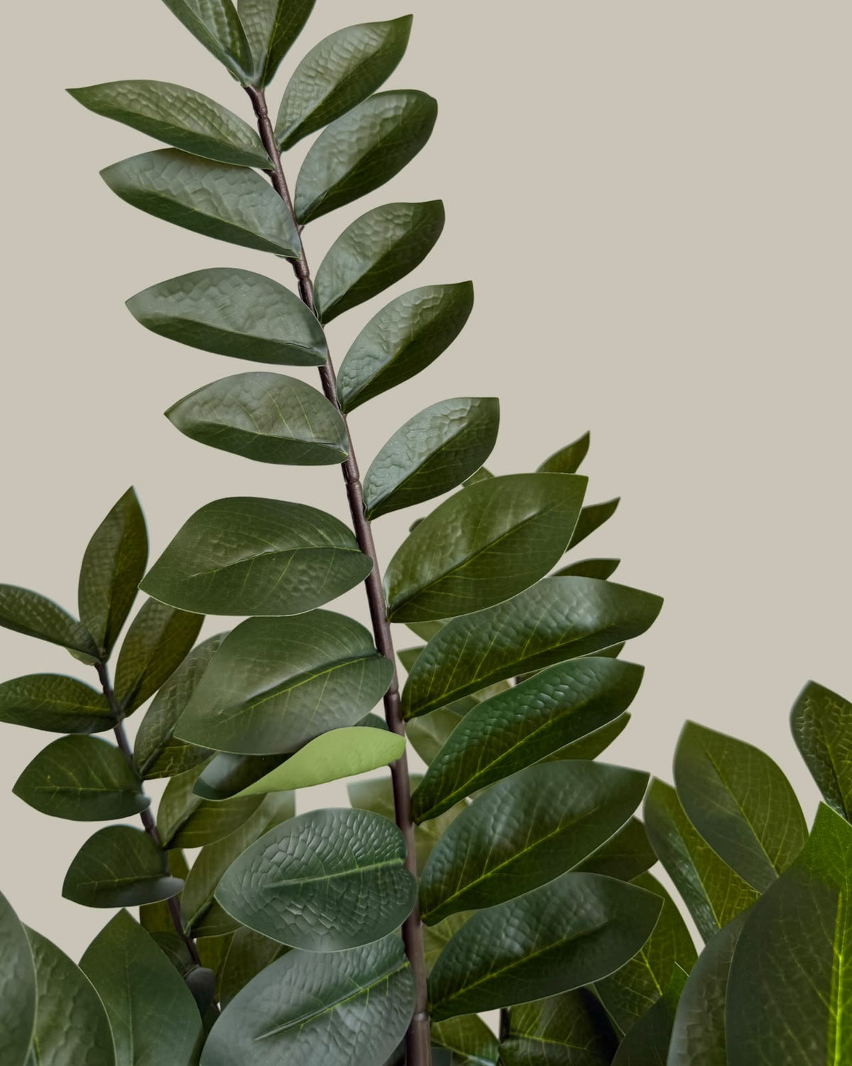 Faux Zanzibar Gem (ZZ) Plant 90cm