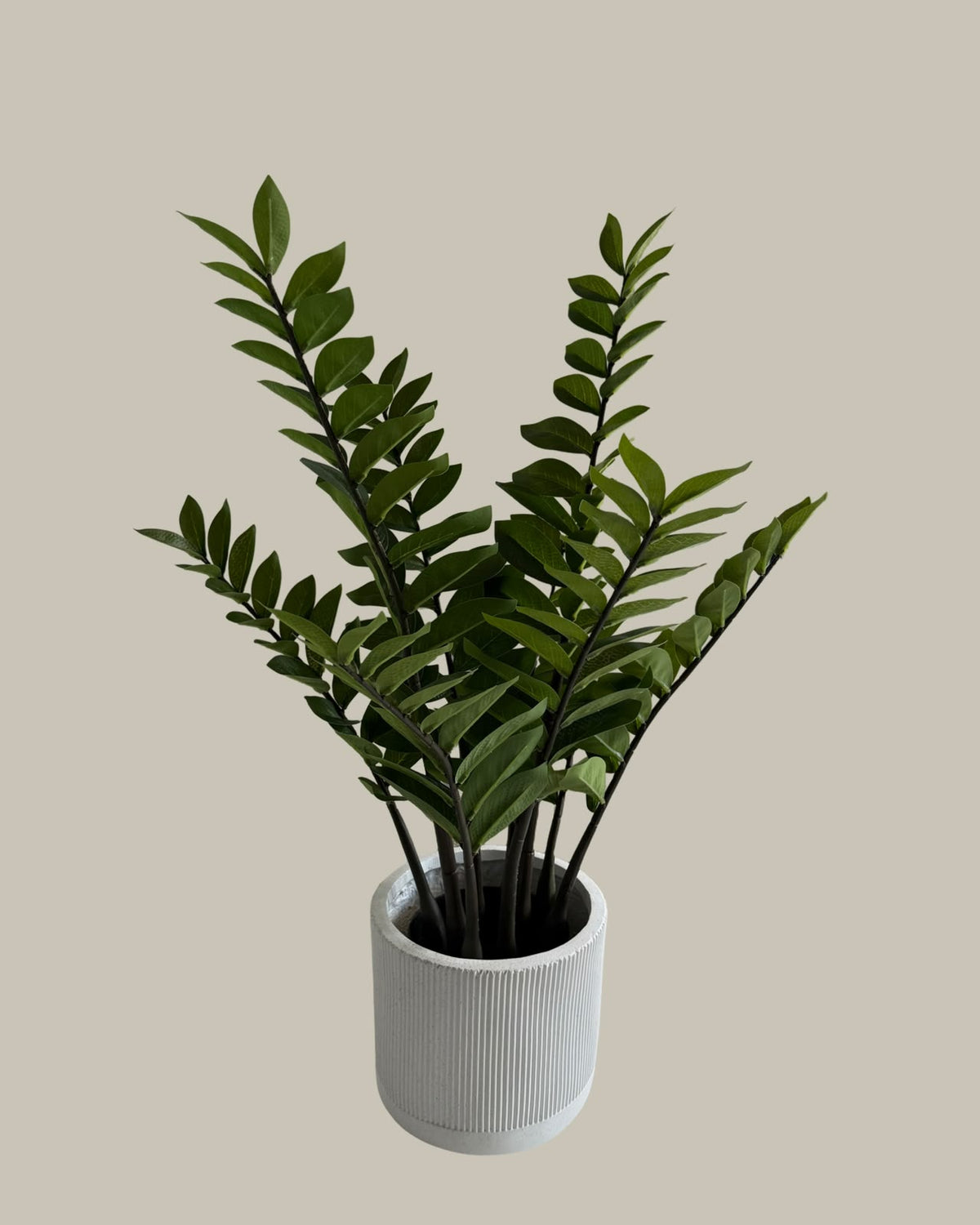 Faux Zanzibar Gem (ZZ) Plant 90cm