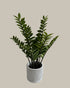 Faux Zanzibar Gem (ZZ) Plant 90cm