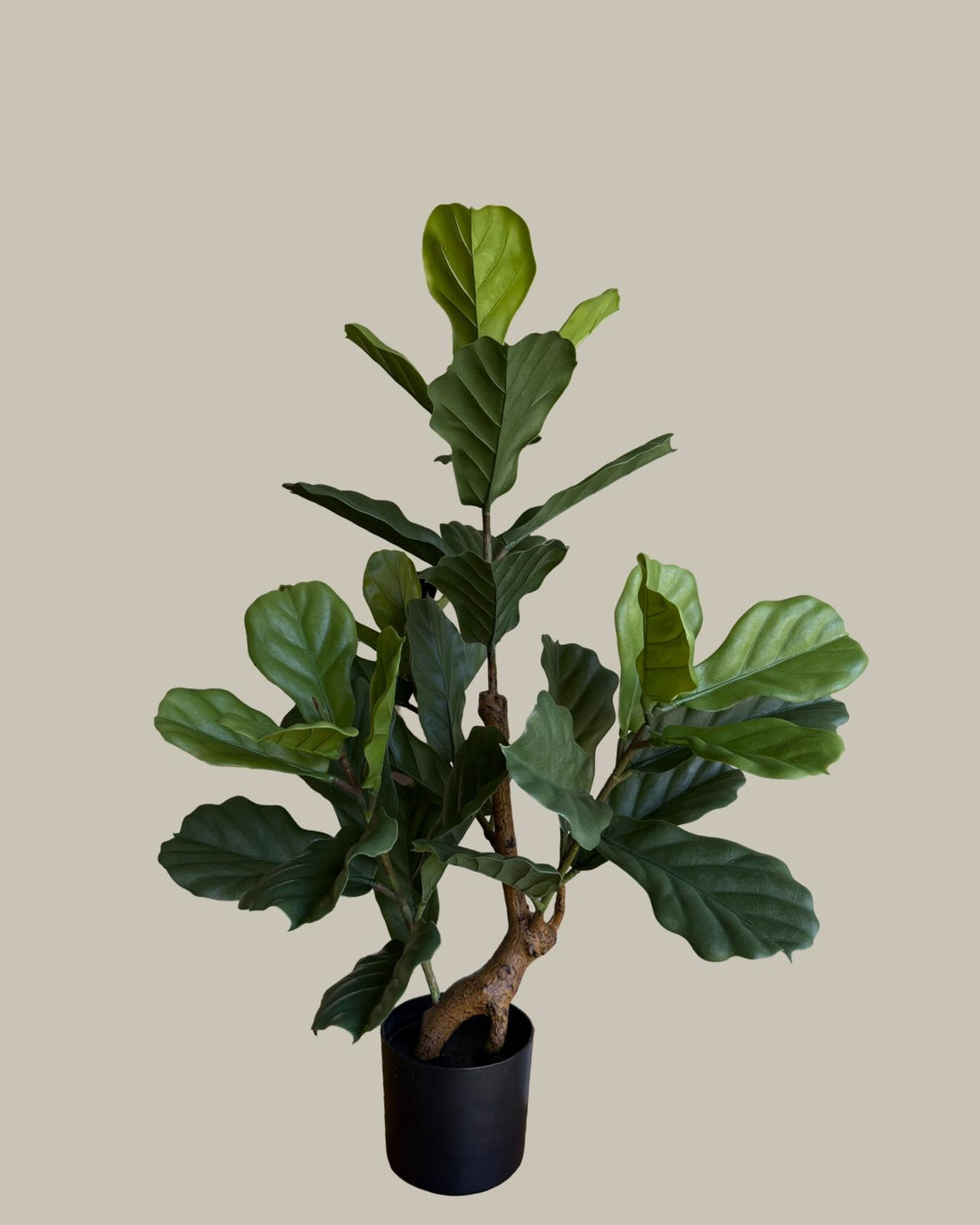 Faux Fiddge Fig Leaf 105CM