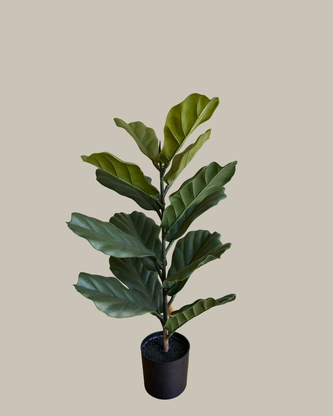 Faux Fiddge Fig Leaf 70CM