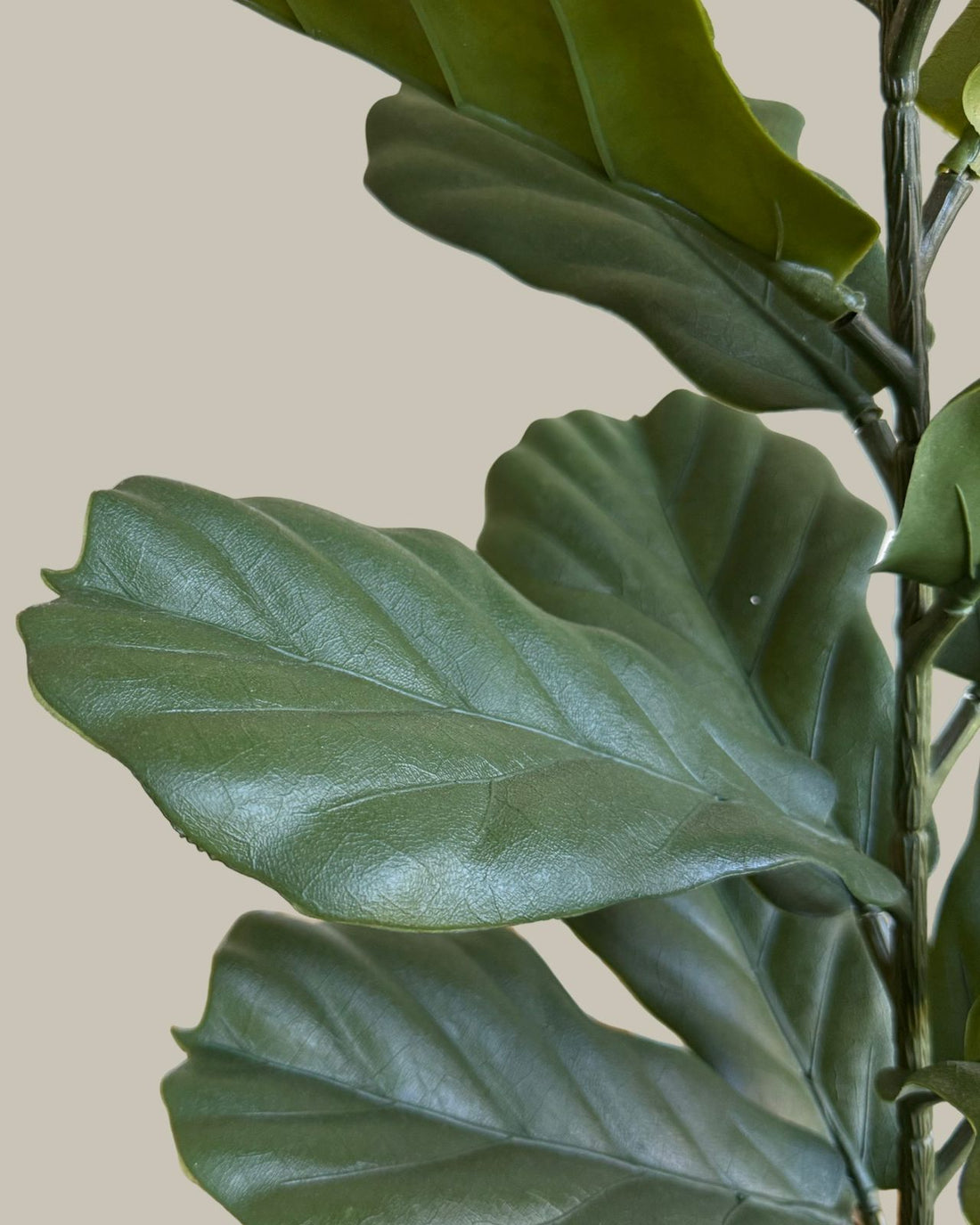 Faux Fiddge Fig Leaf 70CM