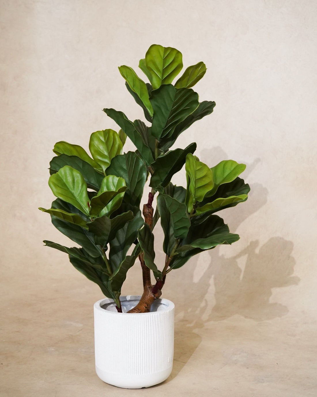 Faux Fiddle Fig Leaf 105CM