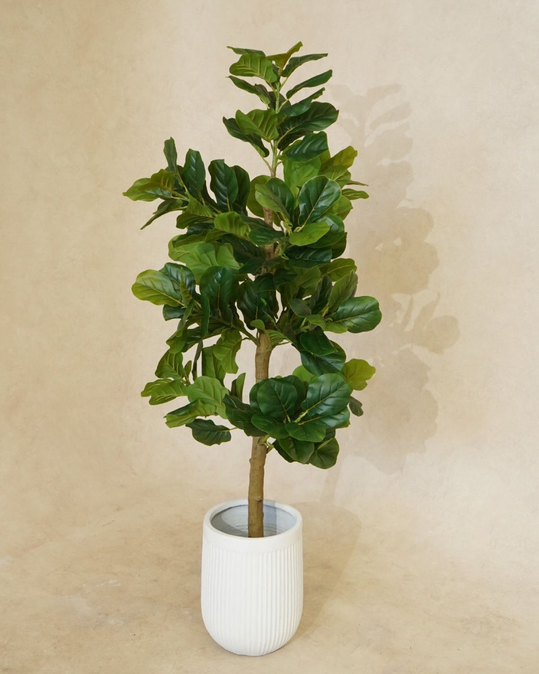Faux Potted Fiddle Fig Leaf Tree 180CM
