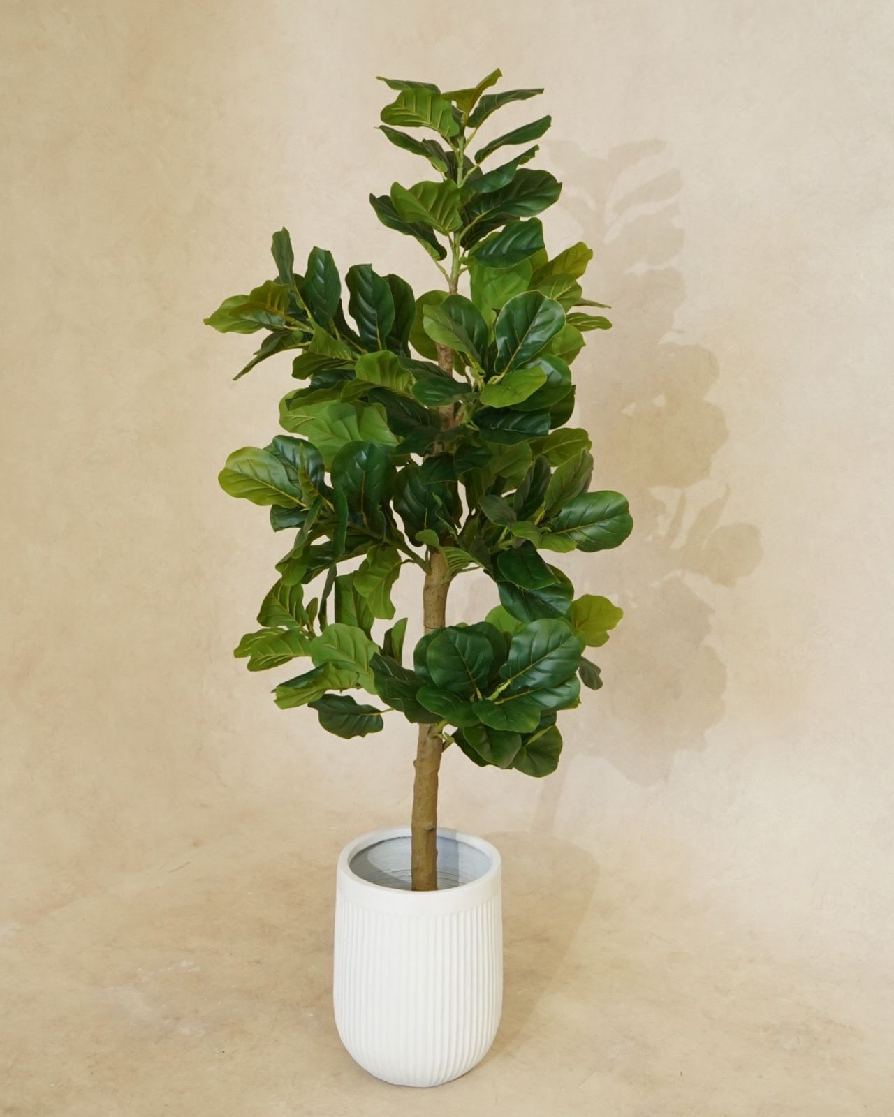 Faux Potted Fiddle Fig Leaf Tree 180CM