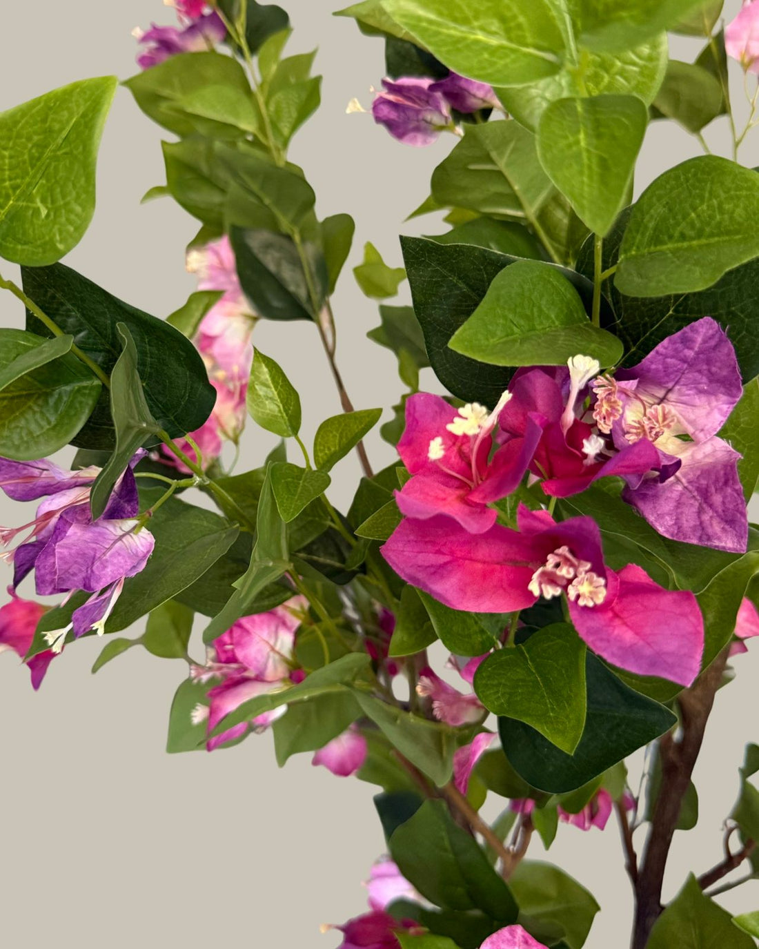 Faux Bougainvillea Plant 150CM