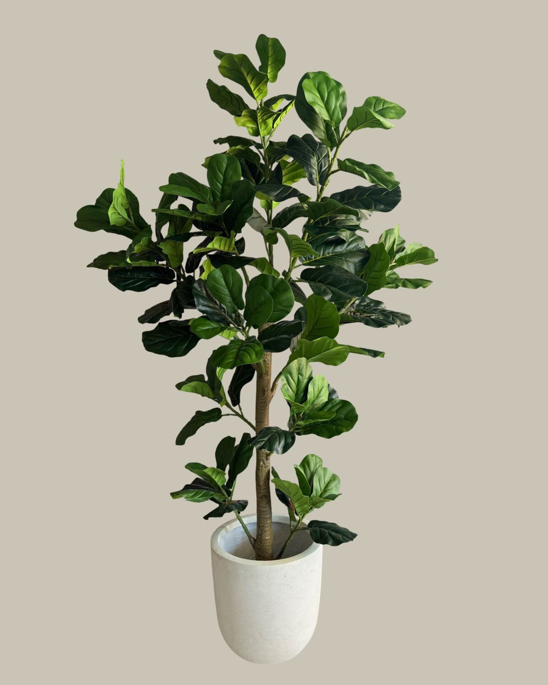 Faux Luxe Fiddle Leaf Fig Tree 180CM