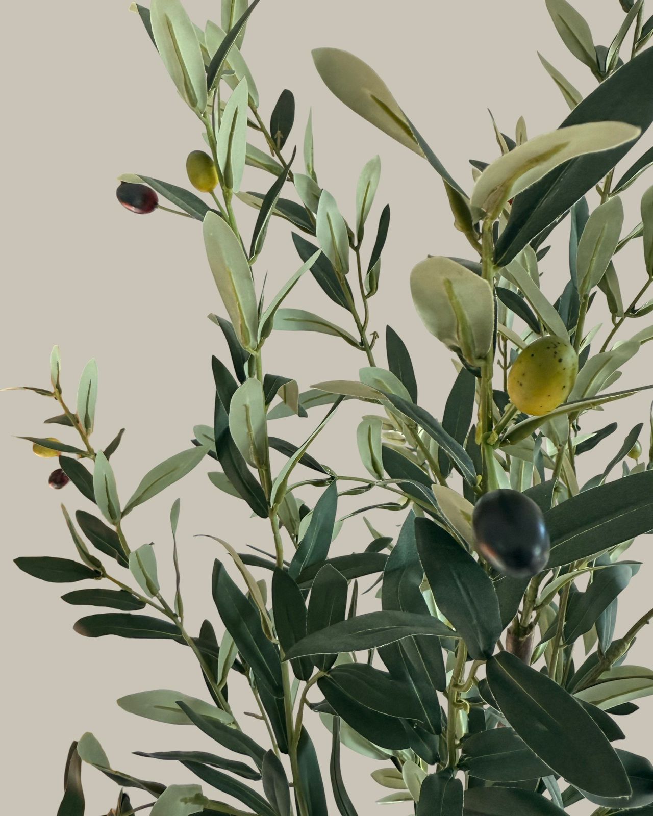 Premium Faux Olive Tree 160CM.