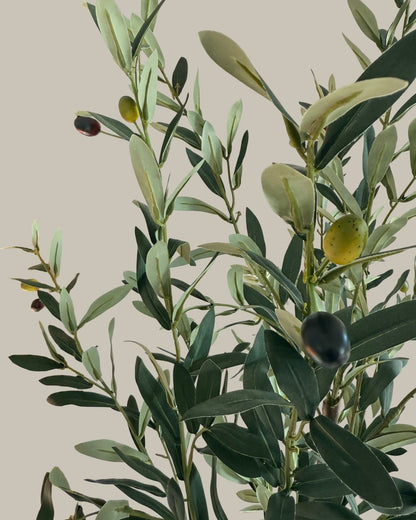 Premium Faux Olive Tree 160CM.