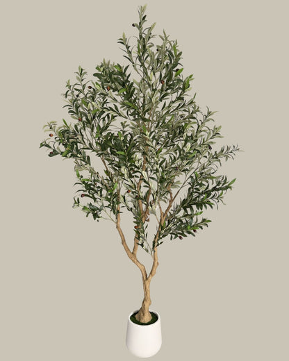 Faux Majestic Olive Tree 2.4M